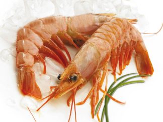 GAMBAS ROYALE ROUGE 16/20 pièces à la boîte