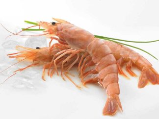 GAMBAS ROYALE ROUGE 6/8 PIECES