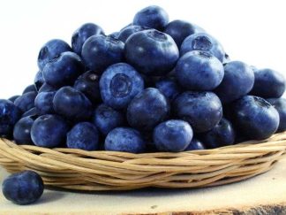 MYRTILLE SAUVAGE ENTIERE BIO