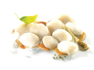 NOIX DE ST JACQUES AVEC CORAIL 6/11 pièces