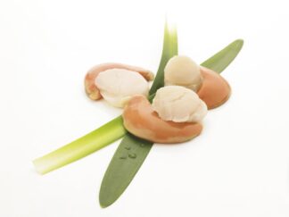 NOIX DE ST JACQUES AVEC CORAIL 12/22 PIECES