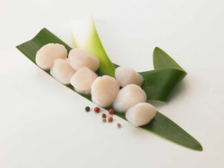 NOIX SAINT JACQUES SANS CORAIL 20/26 pièces