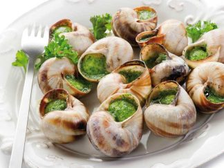48 PETITS ESCARGOTS LUCORUM