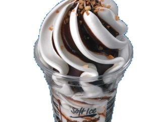 SOFT ICE VANILLE CHOCOLAT 150ML