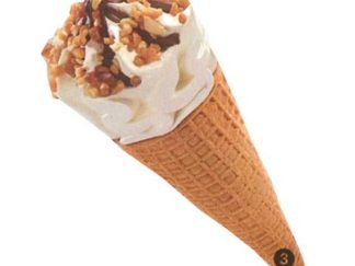 6 CONES VANILLE SANS SUCRE