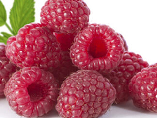 FRAMBOISES 450g