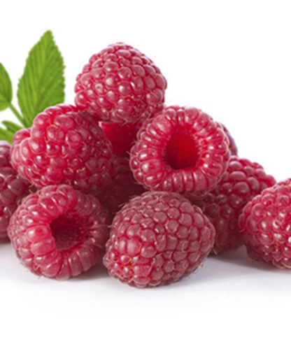 FRAMBOISES 450g