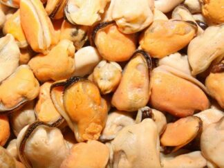 MOULES DE FRANCE DECORTIQUEES