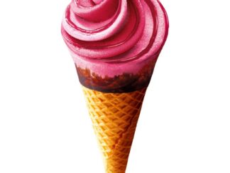 CONES EXTREME FRUITS ROUGE