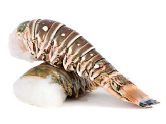 2 QUEUES DE LANGOUSTE CRUES