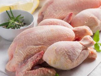 COQUELET “PETIT POULET JAUNE”